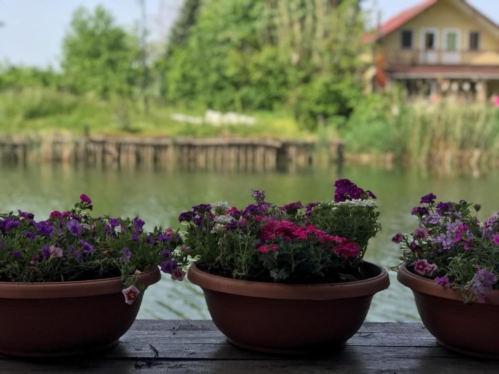 Agva Sweet Home River Hotel Eksteriør bilde