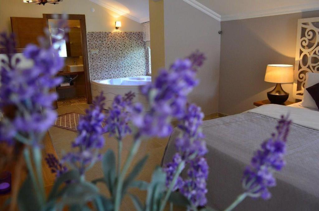 Agva Sweet Home River Hotel Eksteriør bilde